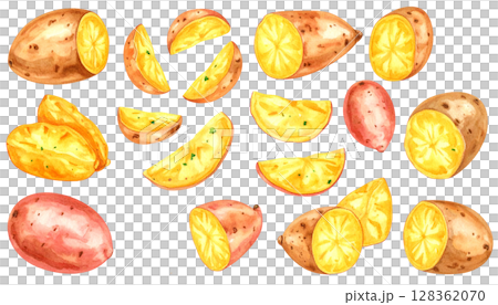 Watercolor illustration of sweet potato 128362070