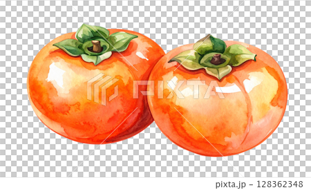 柿の水彩イラスト　秋の果物シリーズ 128362348