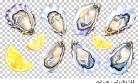牡蠣のイラスト　貝殻付き 128362431