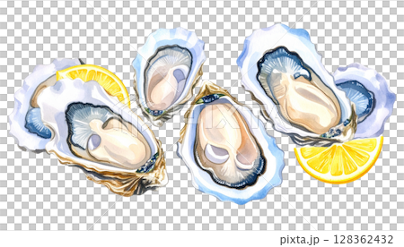 牡蠣のイラスト　貝殻付き 128362432