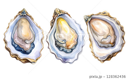 牡蠣のイラスト 貝殻付き 牡蠣のイラスト 貝殻付き 128362436