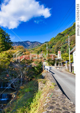 【神奈川県】大山へ続く道 【神奈川県】大山へ続く道 128362438