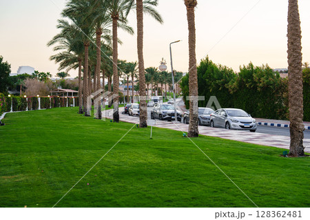 Cars parked along a well-maintained road lined with palm trees in a lush green landscape during the golden hour 128362481