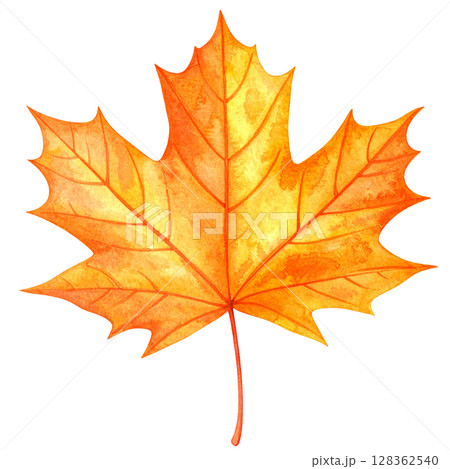 紅葉した葉っぱ　秋の水彩イラストシリーズ 128362540
