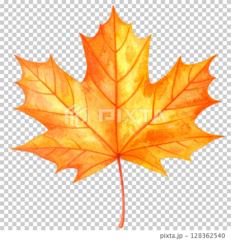 紅葉した葉っぱ　秋の水彩イラストシリーズ 128362540