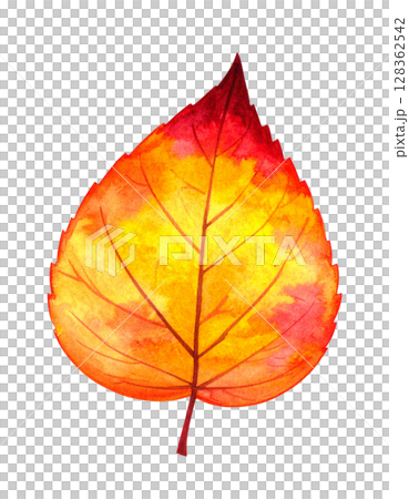 紅葉した葉っぱ 秋の水彩イラストシリーズ 紅葉した葉っぱ 秋の水彩イラストシリーズ 128362542