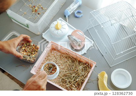 Hamster care routine in a well-organized space with supplies and a happy pet 128362730