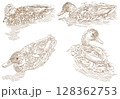 Set duck swim bird monochrome illustration engraving style 128362753