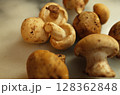 フランスのきのこ　サンジョルジュ 128362848