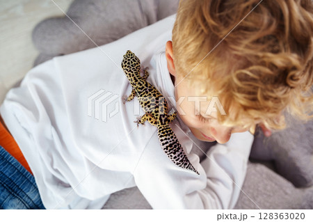 Child interacts gently with a leopard gecko while lying on soft pillows in a cozy room 128363020