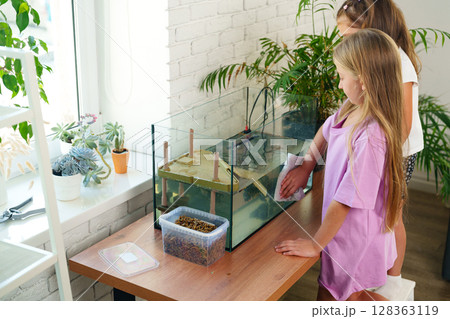 Two children clean a fish tank at home while learning about aquatic life and responsibility during a sunny afternoon 128363119