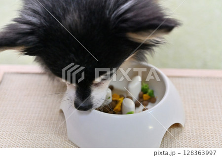 愛犬の手作りご飯 ドッグフードにトッピング(ブロッコリー・かぼちゃ・サプリ) チワワ 愛犬の手作りご飯 ドッグフードにトッピング(ブロッコリー・かぼちゃ・サプリ) チワワ 128363997