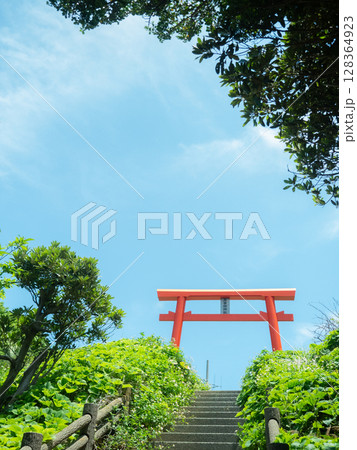 青空と八筈嶽神社(矢筈嶽神社)の鳥居 青空と八筈嶽神社(矢筈嶽神社)の鳥居 128364923