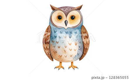 かわいいフクロウのイラスト 128365055