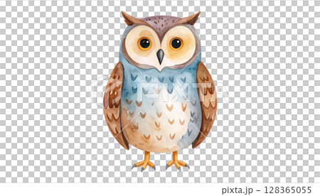 かわいいフクロウのイラスト 128365055