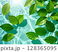 水面と浮かぶ葉のナチュラル背景素材	 128365095