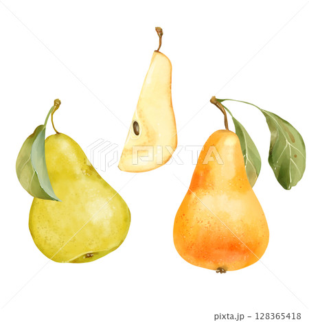 Hand-drawn illustration of fresh pears in green and yellow with a leaf, isolated on white. Ideal for packaging and design projects. 128365418