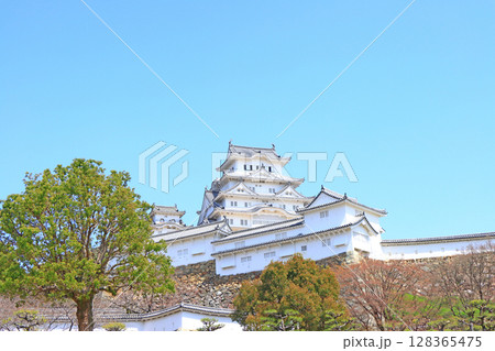 兵庫県姫路市、国宝姫路城の風景 128365475