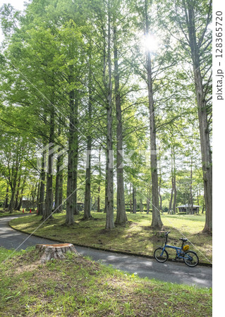 新緑・初夏のサイクリングイメージ　（蒜山高原） 128365720