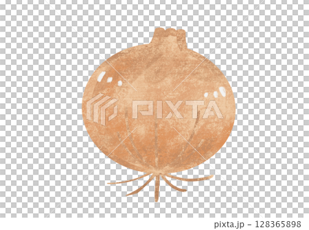 一個簡單的洋蔥的插圖 一個簡單的洋蔥的插圖 128365898