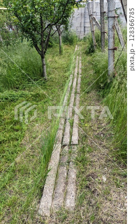 The Overgrown Pathway in Nature A Beautiful and Tranquil Rural Scene Full of Life The Overgrown Pathway in Nature A Beautiful and Tranquil Rural Scene Full of Life 128366785