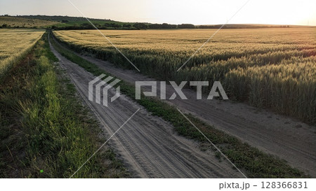 A Scenic Dirt Path Winding Through Golden Fields, Set Against a Beautiful Sunset Sky 128366831