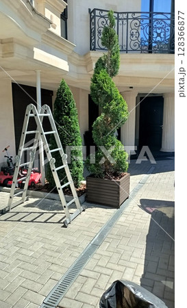 An Elegant Courtyard Featuring Lush Shrubs, WellPlaced Plants, and a Stylish Ladder 128366877