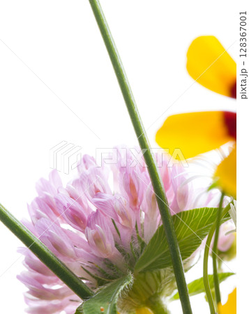 多摩川夏の野草フラワーアレンジメント 128367001