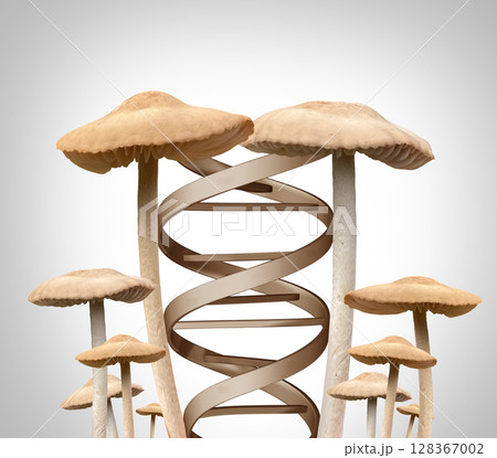 Psilocybin And Longevity Psilocybin And Longevity 128367002