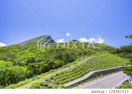 えびの高原硫黄山から韓国岳 えびの高原硫黄山から韓国岳 128367313