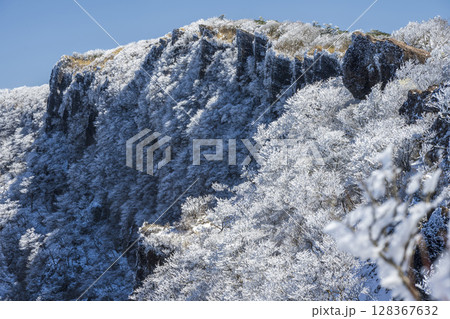 樹氷の大浪池 樹氷の大浪池 128367632