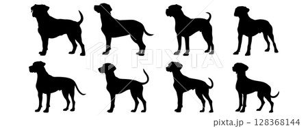 Boxer in different poses. Dog breed silhouette. 128368144