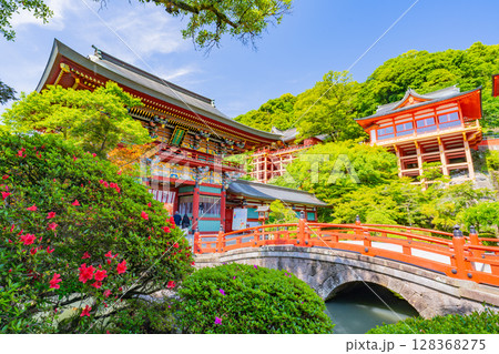 (佐賀県)祐徳稲荷神社 庭園越しに楼門と御本殿 (佐賀県)祐徳稲荷神社 庭園越しに楼門と御本殿 128368275