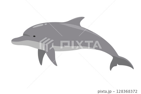 イルカのベクターイラスト 128368372