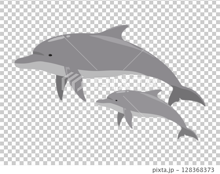 Dolphin parent and child_vector illustration 128368373