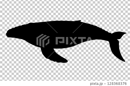 ザトウクジラのシルエット_ベクターイラスト 128368376