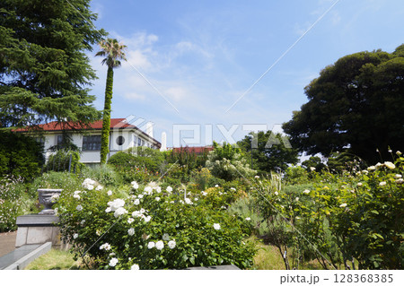 港の見える丘公園の庭園 港の見える丘公園の庭園 128368385