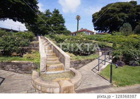 港の見える丘公園の庭園 港の見える丘公園の庭園 128368387