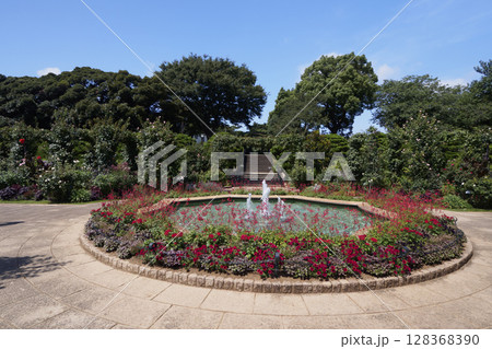 港の見える丘公園の庭園 128368390