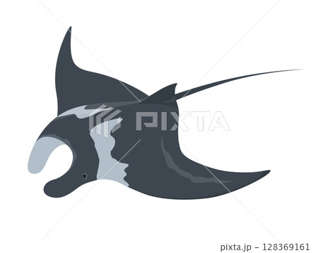 マンタのベクターイラスト 128369161