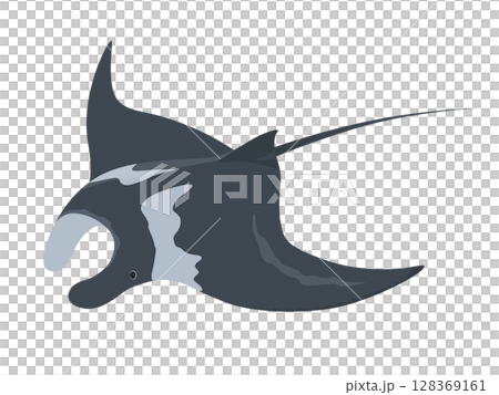 マンタのベクターイラスト 128369161
