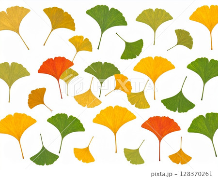 紅葉した落葉　壁紙　イラスト 128370261
