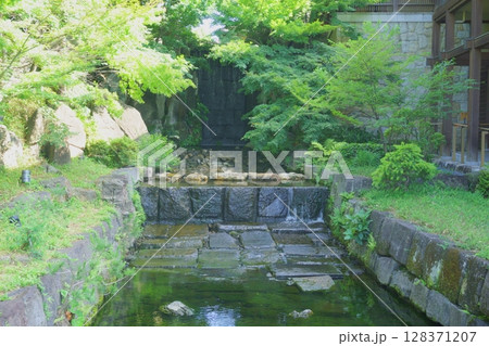 徳川園 緑に囲まれた龍門の瀧 徳川園 緑に囲まれた龍門の瀧 128371207