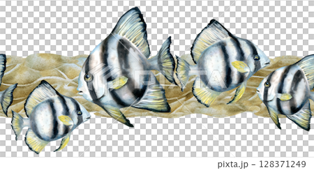 Seamless border of black-white striped tropical fish, beige corals, sea sand. Watercolor template of seascape in beige tones isolated on white background for sea design, diving, scrapbook, sticker 128371249