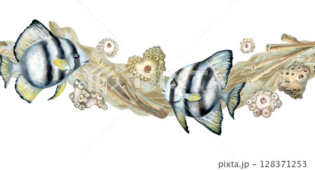 Seamless border of black-white striped tropical fish, beige corals, sea sand. Watercolor template of seascape in beige tones isolated on white background for sea design, diving, scrapbook, sticker Seamless border of black-white striped tropical fish, beige corals, sea sand. Watercolor template of seascape in beige tones isolated on white background for sea design, diving, scrapbook, sticker 128371253