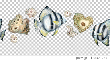 Seamless border of black-white striped tropical fish, beige corals on the reefs. Watercolor template of seascape in beige tones isolated on white background for sea design, diving, scrapbook, sticker Seamless border of black-white striped tropical fish, beige corals on the reefs. Watercolor template of seascape in beige tones isolated on white background for sea design, diving, scrapbook, sticker 128371255