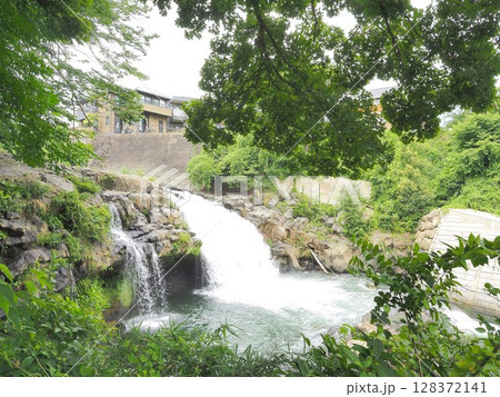 静岡県　鮎止めの滝　7月 128372141