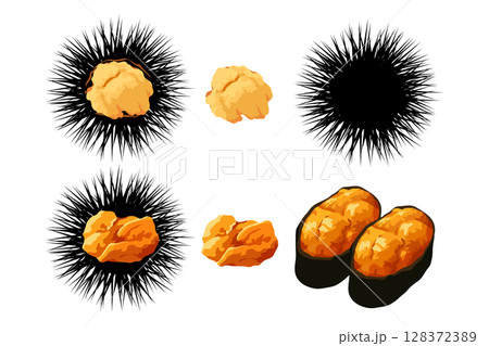 ウニと棘と寿司のイラスト素材 ベクター ウニと棘と寿司のイラスト素材 ベクター 128372389