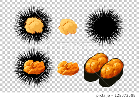 海膽、刺和壽司插圖素材向量 128372389