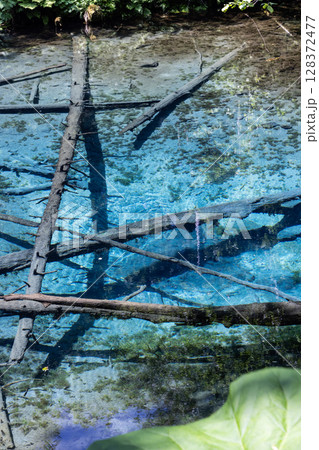 北海道清里町の神の子池 北海道清里町の神の子池 128372477